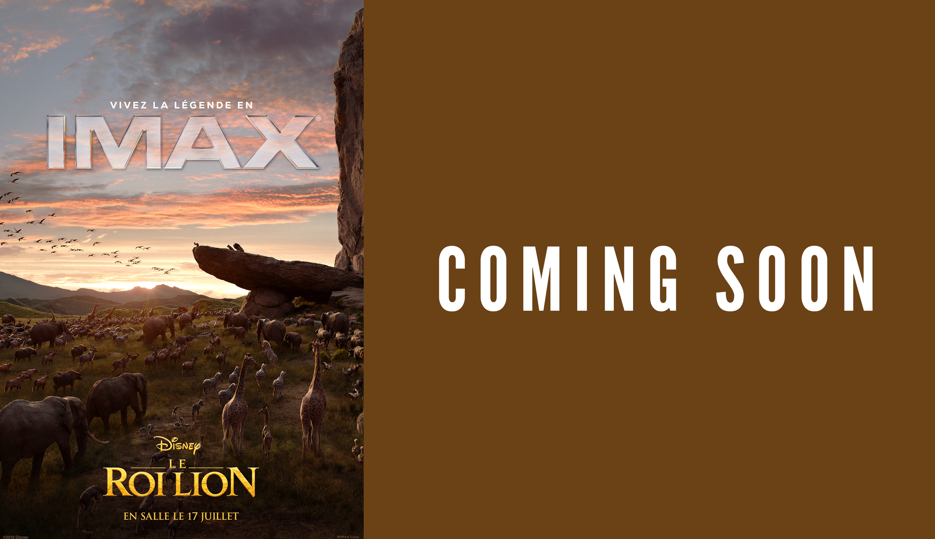 COMING SOON :Roi Lion