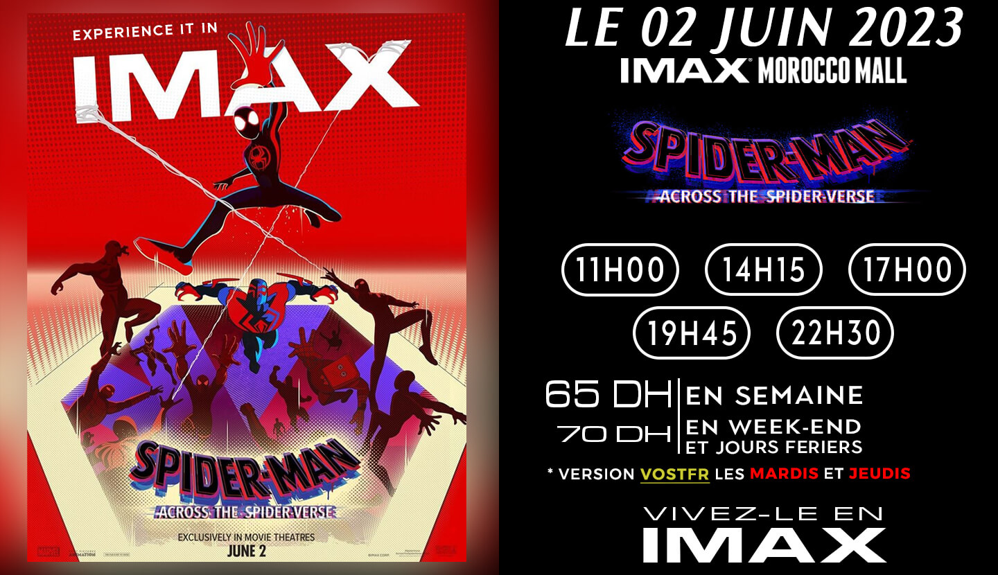 Spider-Man : Across the Spider-Verse
