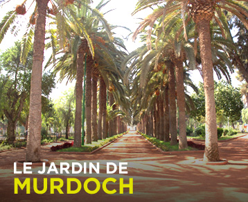 The Murdoch Gardens