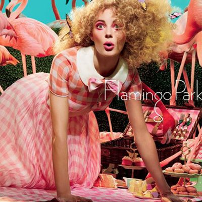 Le printemps est une aventure : Flamingo Park